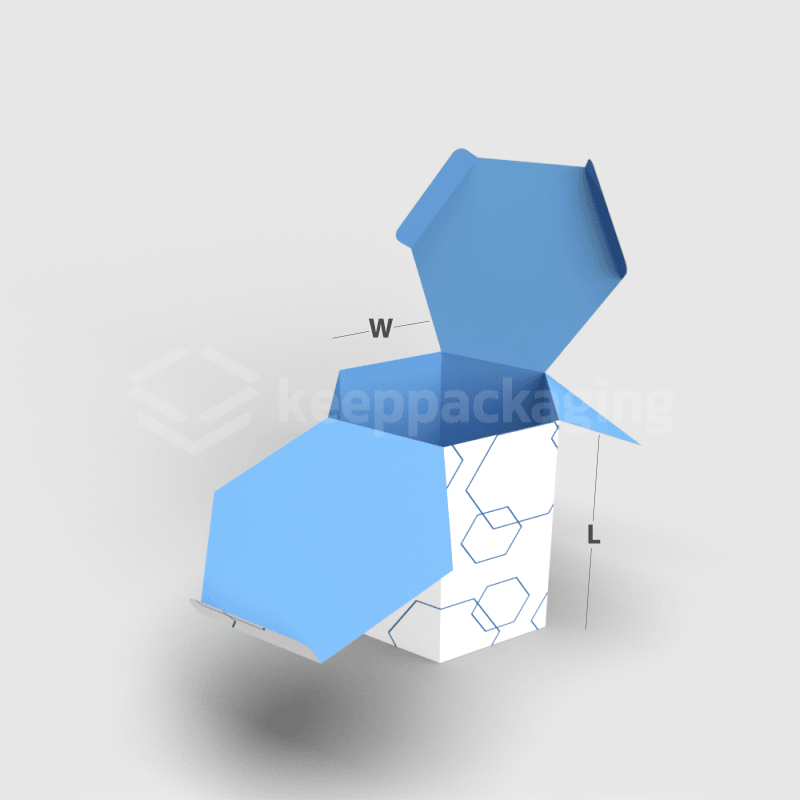 Hexagon 03