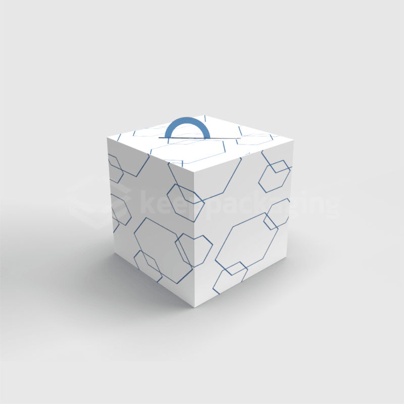 Cube Shaped Carrier 02